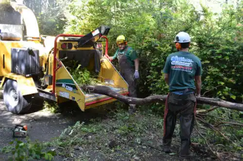 tree services Hot Springs Village